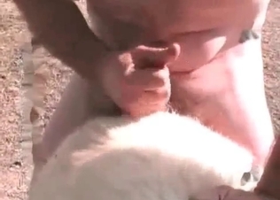 Asian is playing with her doggy's big balls