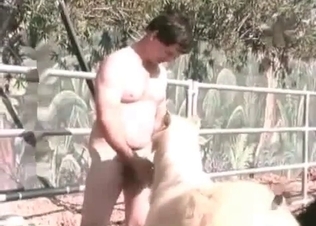 Asian is playing with her doggy's big balls