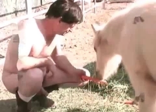 Asian is playing with her doggy's big balls
