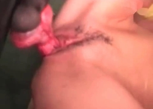 Meaty red boner of a doggy in a tight cunt