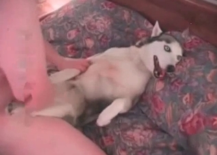 Hardcore anal sex with an awesome young doggy
