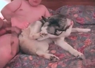 Hardcore anal sex with an awesome young doggy