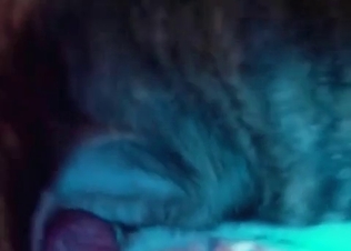 Spicy doggy is licking a truly juicy vagina