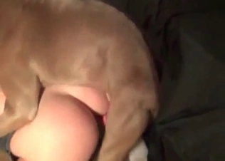 Big dog fucks with a stunning woman on cam