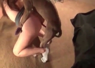 Big dog fucks with a stunning woman on cam