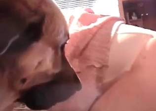 Insane anal sex with an awesome young doggy