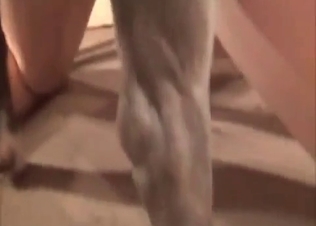 Filthy busty babe and her lovely trained doggy