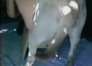 Bitch in the glasses and her doggy's dick