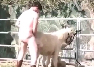 Small pony and two dirty zoophiles farmers