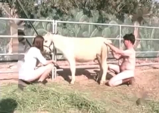 Small pony and two dirty zoophiles farmers