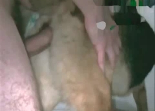 Dog's asshole is being fucked from behind