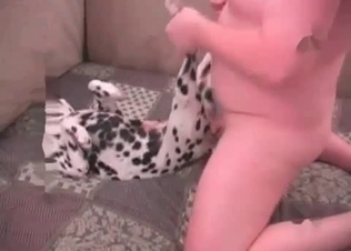 Fat zoophile is wearing his doggy's tight asshole