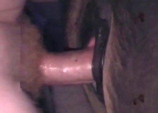Horse is being pounded hard in the anal hole