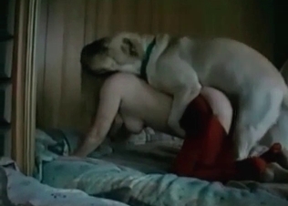 Playful white dog and a hot zoophile chick