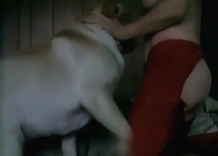 Playful white dog and a hot zoophile chick