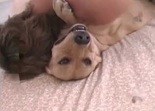 Filthy zoophile fucks a dog in the bedroom