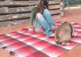 Zoophile spread her legs in front her dog