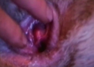 Big male dick in a tight dog asshole