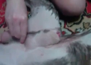 Slutty zoophile enjoys good animal porn