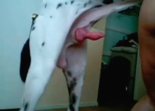 Big hardcore dog fucks this tight cunt
