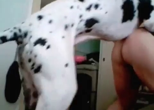 Big hardcore dog fucks this tight cunt