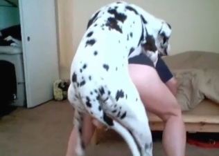 Big hardcore dog fucks this tight cunt