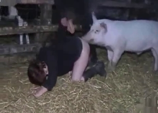 Pig fucks with a zoophile at the old farm