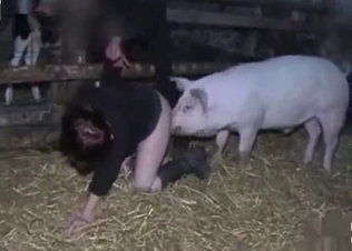Pig fucks with a zoophile at the old farm
