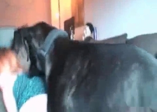 Black hound enjoys dirty amateur zoo porn