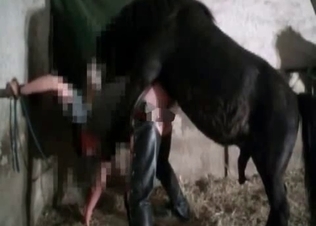 Black pony is fucking like a freaking god