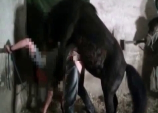 Black pony is fucking like a freaking god