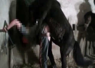 Black pony is fucking like a freaking god