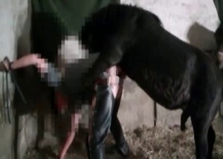 Black pony is fucking like a freaking god