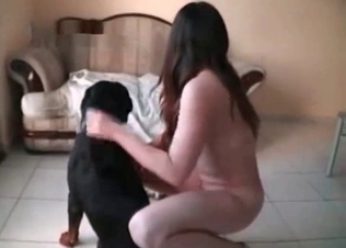 Black hound fucks her small twat