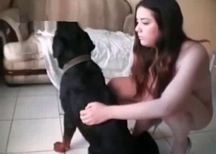 Black hound fucks her small twat