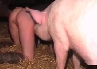 Filthy pig is fucking a stunning whore