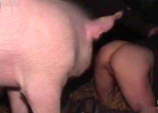 Filthy pig is fucking a stunning whore
