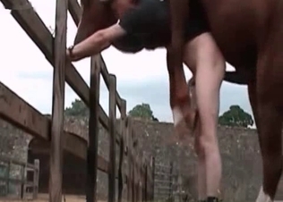 Awesome farm sex with a stallion