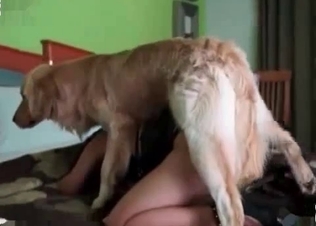 Enjoyable zoo porn with a hound