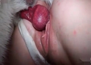 Ass to ass anal sex with a doggy