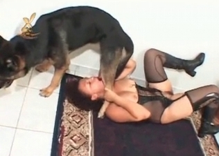 Shepherd fucks a slender chick