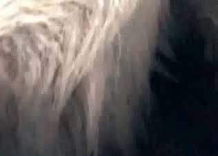 Hardcore amateur zoo porn in the bed