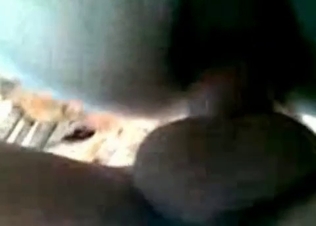 Insanely filthy anal sex in the zoo porn