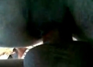 Insanely filthy anal sex in the zoo porn
