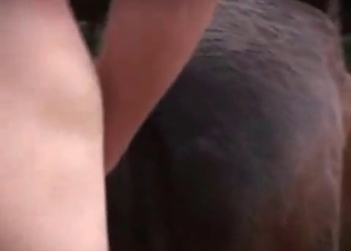 Beauty is playing with her animal
