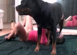 Amazing Doberman and a filthy zoophile