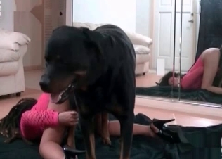 Amazing Doberman and a filthy zoophile
