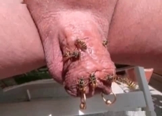Insanely dirty sex with the insects