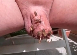 Insanely dirty sex with the insects