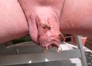 Insanely dirty sex with the insects